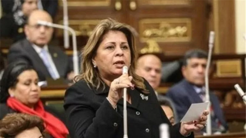 طلب إحاطة للحكومة بشأن تهالك الخدمات بالدقي