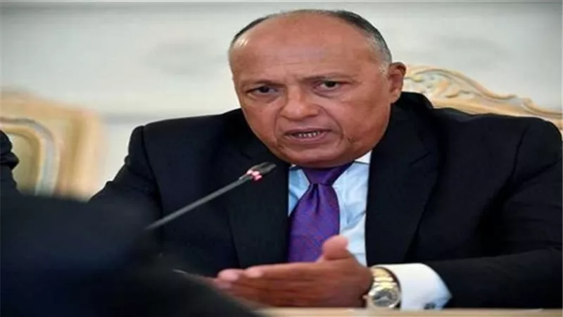 في حوار لوكالة عمانية.. وزير الخارجية: مصر ليست لديها شروط لعودة سوريا للجامعة العربية.. وهذا تعليقي على صفقة القرن