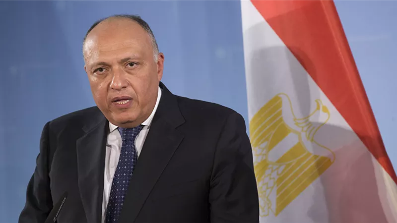 وزير الخارجية في حوار جرئ: لدينا مصلحة مشتركة مع أمريكا لتحقيق الاستقرار بالمنطقة.. وهذا موقف مصر من الجولان