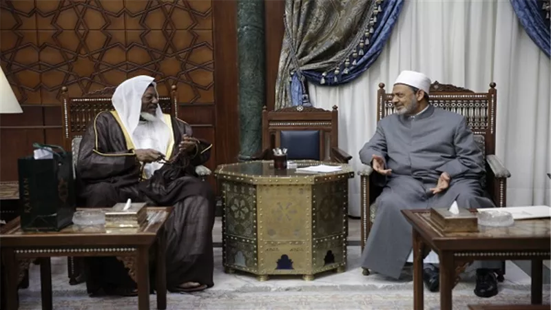 مفتي نيجيريا: جهود الأزهر في أفريقيا تسهم بقوة في مواجهة جماعات الإرهاب