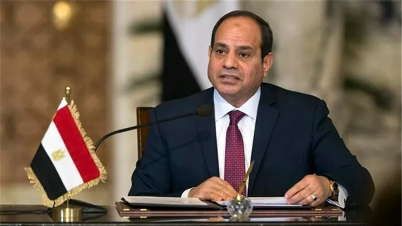 مصر تتبنى قرارا هاما في مجلس الأمن