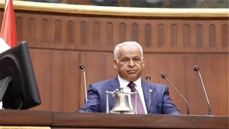 برلمانى: الرئيس أدخل البهجة على كل بيت مصري بقراراته اليوم