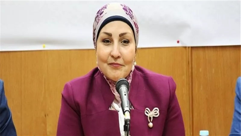 برلمانية تطالب الحكومة بسرعة تنفيذ توجيهات الرئيس السيسى لدعم المرأة