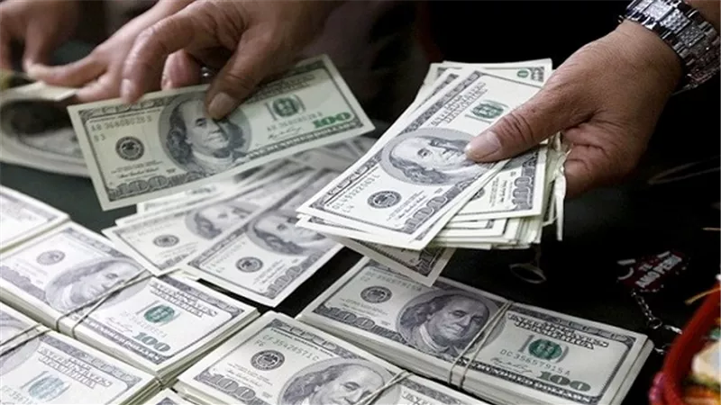 حقيقة تغيير سعر صرف الدولار بالموازنة الجديدة لـ 18 جنيه