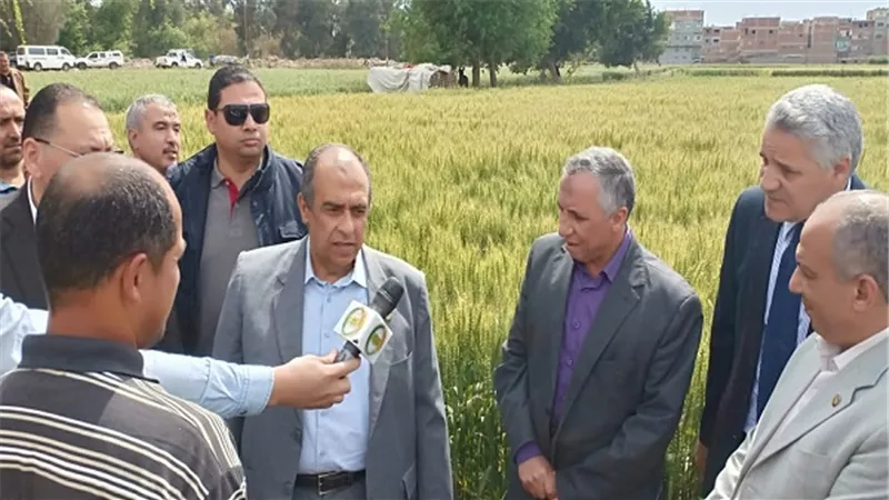 أبوستيت يطمئن على محصولي القمح والبصل بمحافظة الشرقية