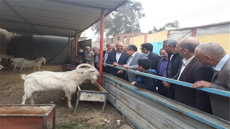 وزير الزراعة يواصل زيارته لمحافظة الشرقية بزيارة مزرعة ومصنع للإنتاج الحيواني المتكامل