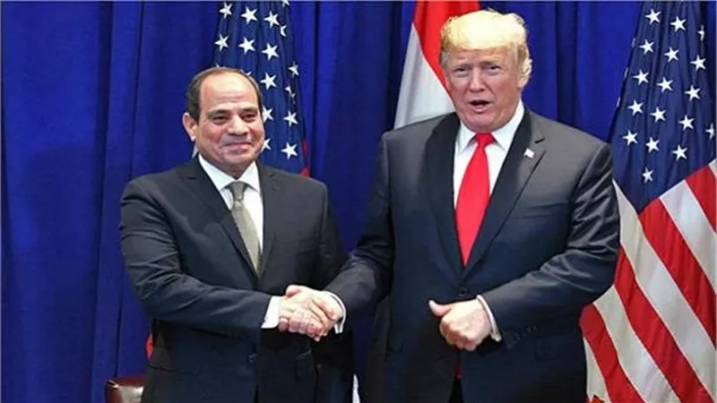 حلقة خاصة من برنامج مصر النهاردة عن  جولة الرئيس السيسى لدول افريقيا والولايات المتحدة الأمريكية 