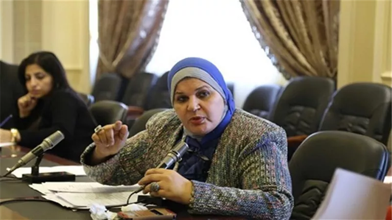 برلمانية: ملفات القمة المصرية الأمريكية تمس المنطقة العربية واستقرارها