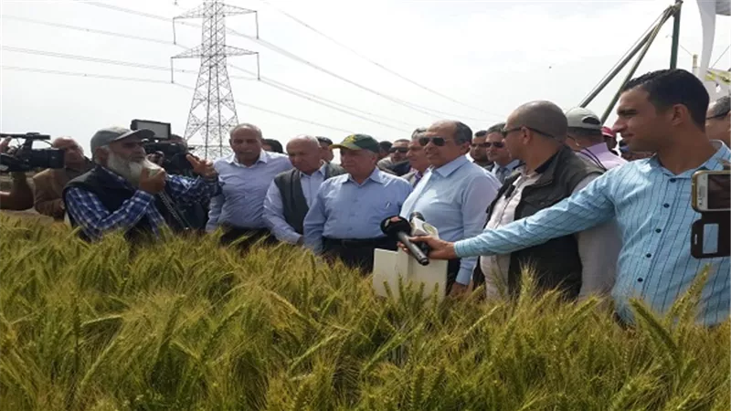 وزير الزراعة يتفقد محصول القمح بمحطة بحوث سخا في كفر الشيخ 