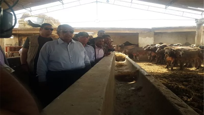 وزير الزراعة يتفقد مزارع قطاع الإنتاج ومنطقة تحسين الأراضي ومحطة إعداد التقاوى بكفر الشيخ