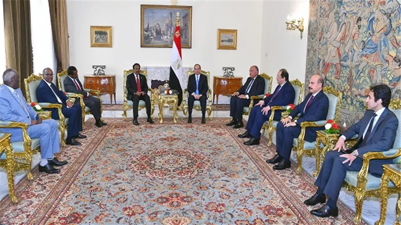 الرئيس عبد الفتاح السيسي يستقبل الرئيس الصومالي
