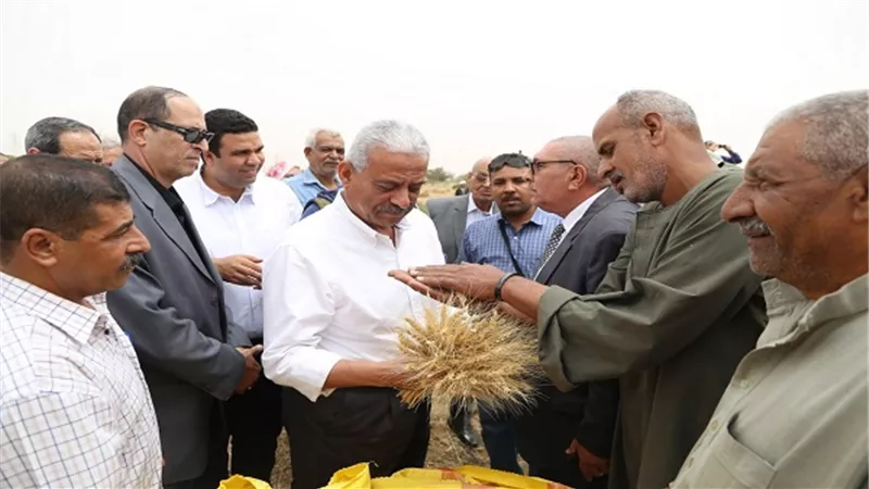  محافظ السويس يفتتح موسم حصاد قمح بالمحافظة