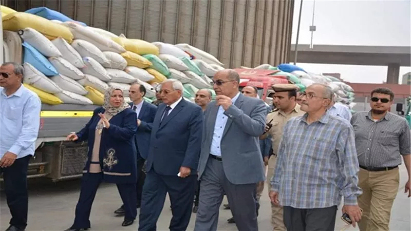 محافظ الدقهلية.. جولة في صوامع ميت غمر  
