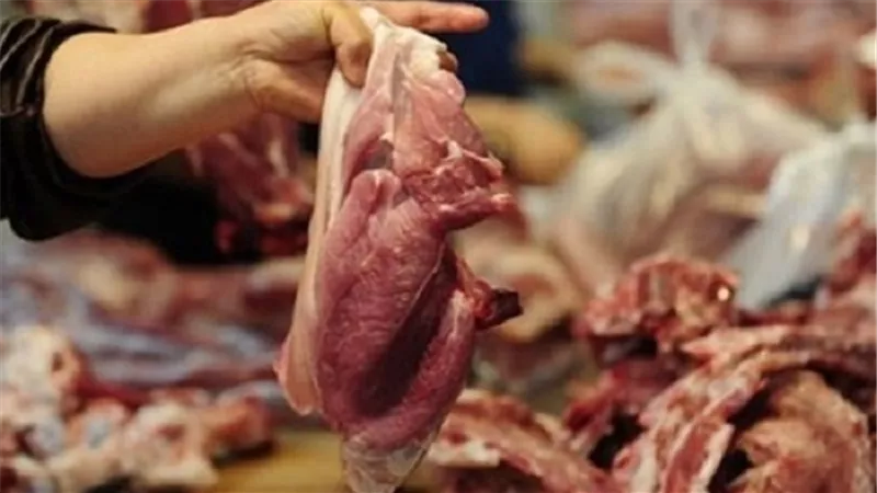حملات مكثفة بالاسواق وضبط لحوم غير صالحة للاستهلاك الآدمي بالدقهلية 