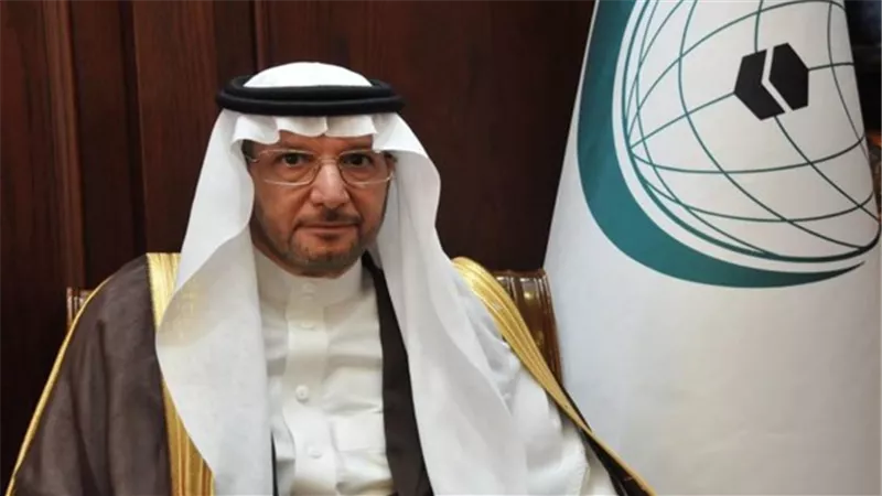 فى حوار مع «عكاظ» السعودية.. أمين عام التعاون الإسلامى: متفائلون بنتائج قمة مكة لحل مشاكل العالم الإسلامى