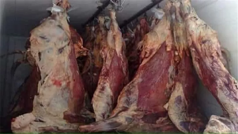 ضبط 430 كجم لحوم غير صالحة للاستهلاك الادمى بمدينة البلينا
