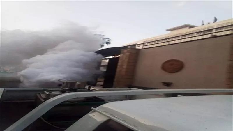 بالصور.. حملات مكثفة لمقاومة الناموس والحشرات الطائرة بالمنصورة 