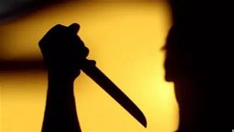 انهى شقيقين حياة والدهم بالدقهلية