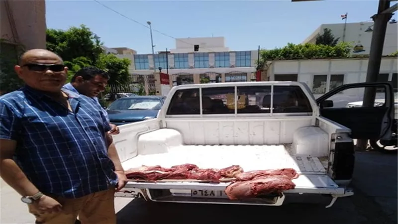 تموين الفيوم ضبط لحوم غير صالحة ومذبوحة خارج المجزر 