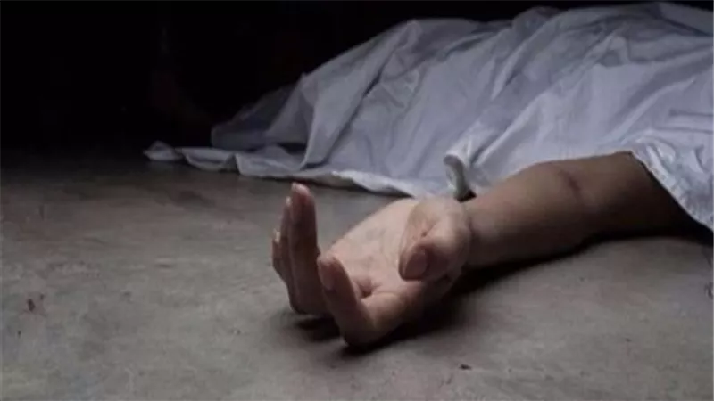 مسن يلقي حتفه في حادث تصادم بطريق المحلة الكبرى