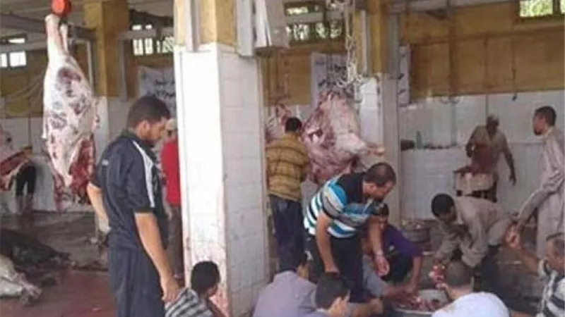 فتح  جميع المجازر مجانا لذبح أضاحي العيد بالدقهليه