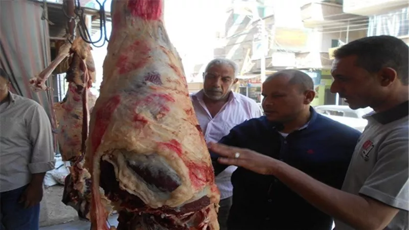 تحرير 47 محضر تمويني وضبط طن و 200 كيلو دقيق مدعم قبل طرحة للبيع بالأسواق