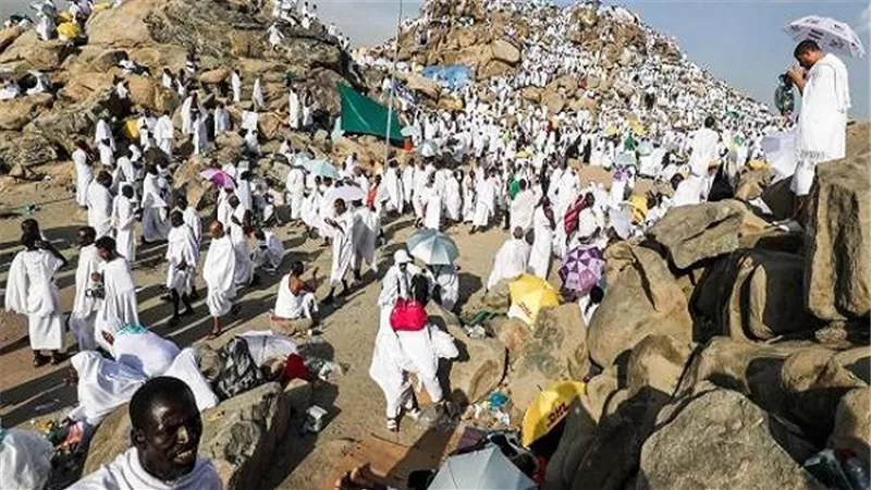 التضامن: استمرار توافد الحجيج على الأراضي المقدسة واستعدادات مكثفة لخدمة ضيوف الرحمن 