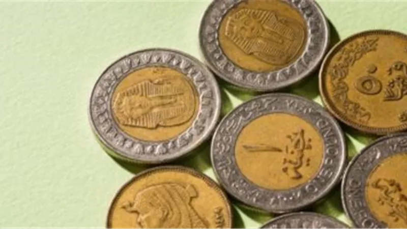 المالية توزع 1.5 مليون جنيه 