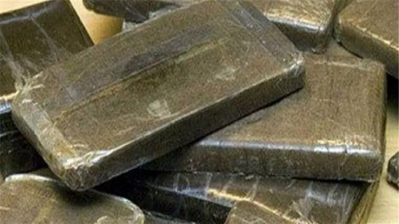 ضبط شخصين بحوزتهما كمية من مخدر الحشيش