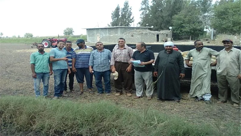البيئة تواصل اعتماد مواقع جمع قش الأرز بشرق ووسط الدلتا