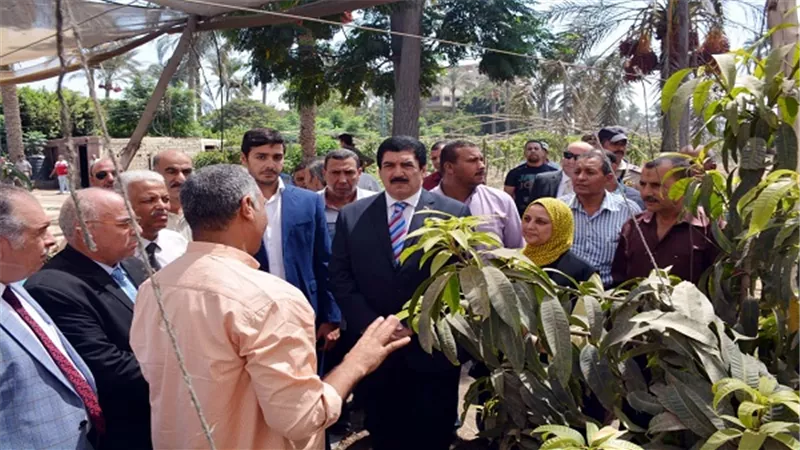 محافظ القليوبية يتفقد احدى مزارع المانجو والنخيل على مساحة 38 فدان بالقناطر الخيرية 