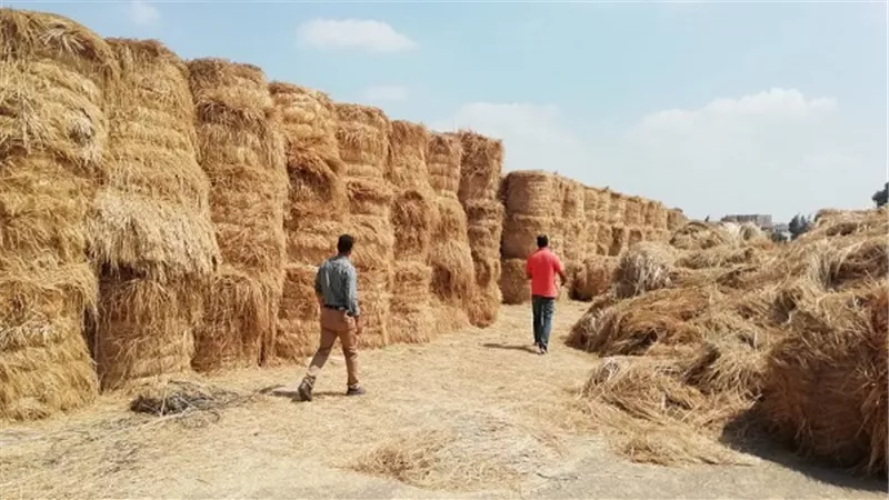 البيئة تضبط 603 منشأة مخالفة للحدود المسموح بها في قانون البيئة
