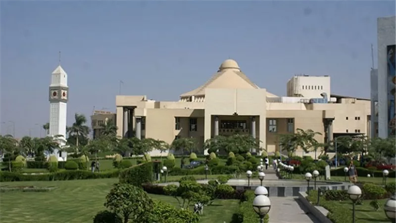 ياسمين الكاشف: جامعة مصر اول جامعة خاصة مصرية تشارك مع الاتحاد الاوروبى