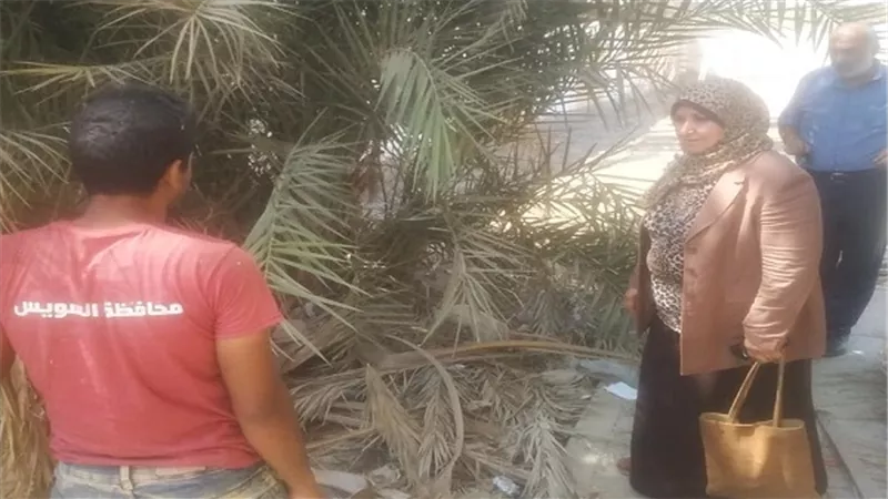 حملة لتطهير مدارس السويس من الحشائش والزواحف الضارة