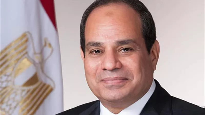 بسام راضي: الرئيس السيسي يستقبل وفداً من المستثمرين المصريين بالخارج 