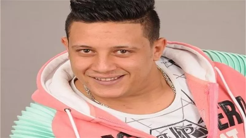 برلمانية تنتقد غناء 