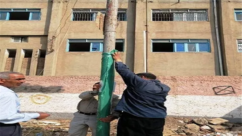عزل أعمده الإنارة بالبلاستيك لحماية المواطنين من الصعق بالكهرباء 