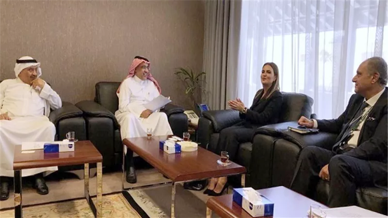 وزيرة الاستثمار تبحث مع الصندوق السعودي دعم المرحلة الثانية من برنامج تنمية سيناء