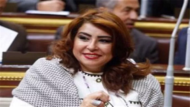 برلمانية: مشروع قانون للمحافظة على الذوق العام المصري