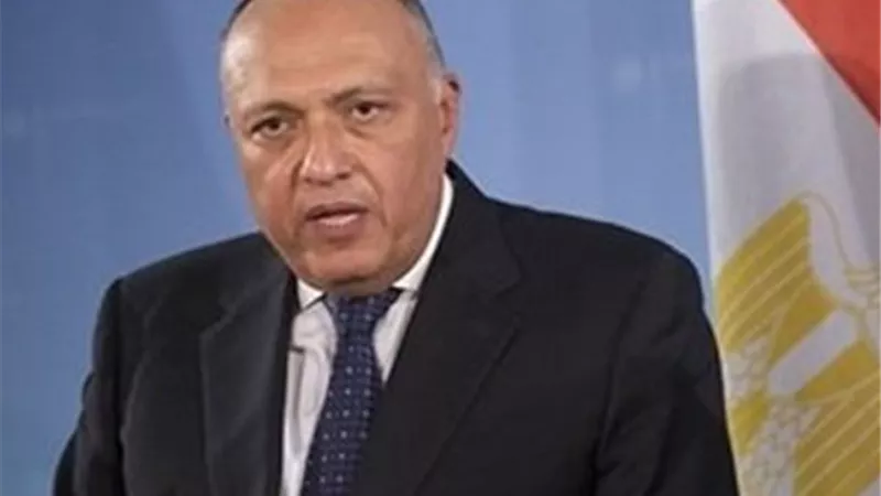 وزير الخارجية يُلقي كلمة أمام جلسة البرلمان العربي في القاهرة.. غدا