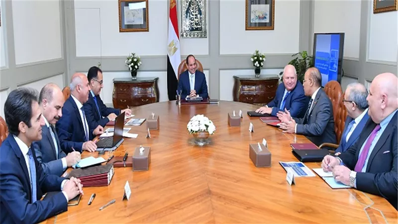 الرئيس السيسي يجتمع مع رئيس مجلس إدارة شركة 
