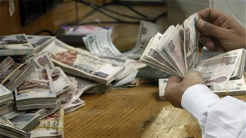وزير المالية يعلن موعد انتهاء جميع المؤسسات الحكومية من تنفيذ رفع الحد الأدنى للأجور