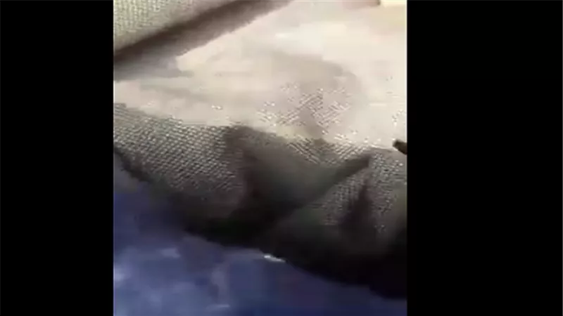 شاهد| فضيحة لـ