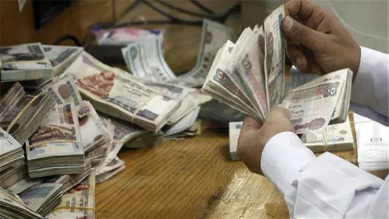 وزير المالية: صرف مرتبات العاملين بالدولة يوم 19 بدلا من 23 أبريل
