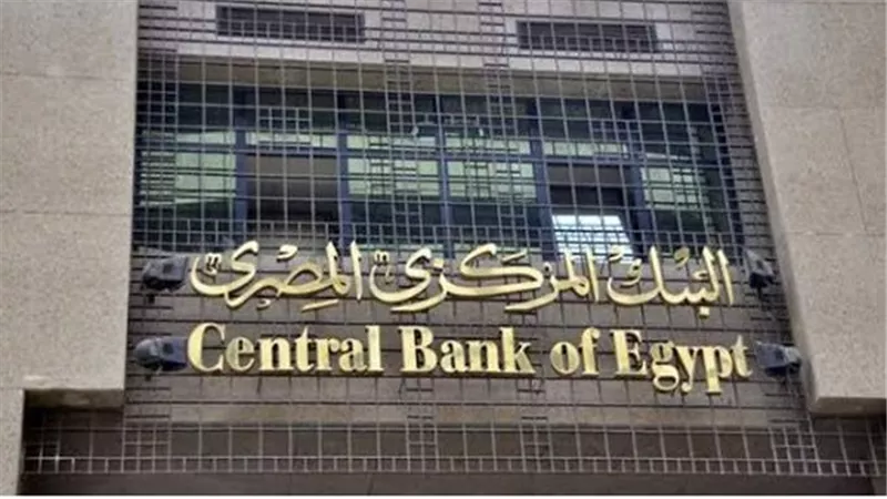 البنك المركزي: تعديل بنود مبادرتي إحلال وتجديد الفنادق وتمويل سداد المرتبات بضمان وزارة المالية
