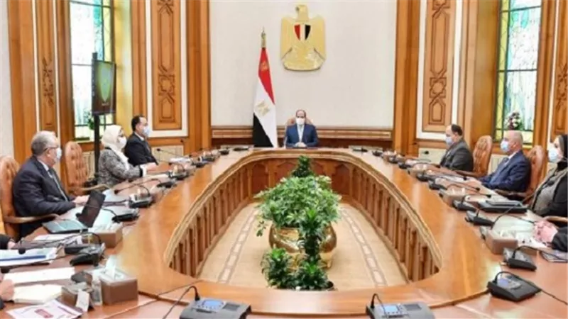 السيسى يوجه بالبدء الفورى فى الخطوات التنفيذية لإنشاء معامل مركزية بالموانئ