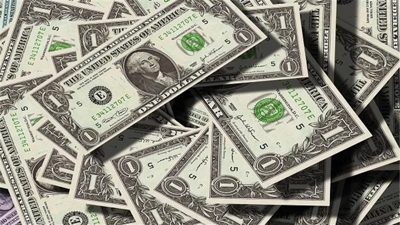 ما هي التطلعات للدولار الأمريكي في السنة القادمة ٢٠٢١