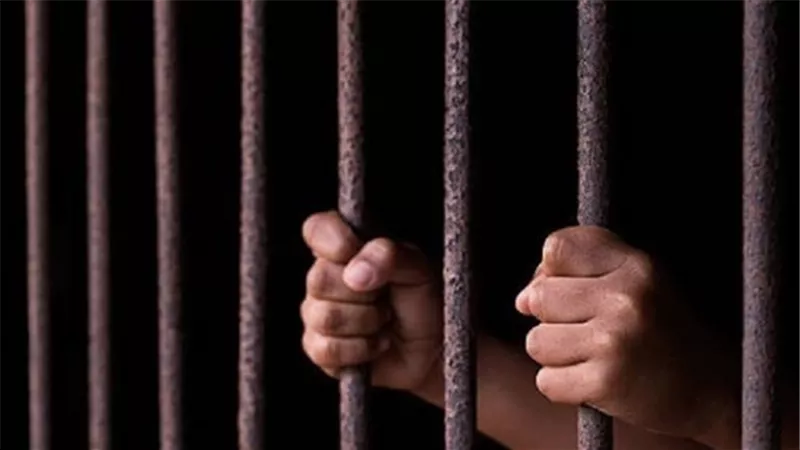 حبس أستاذ بزراعة المنصورة ثلاثة أشهر في قضية نصب بالدقهلية