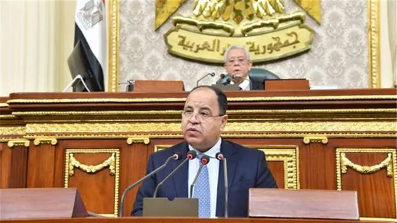 وزير المالية: تطبيق الفاتورة الإلكترونية على الجميع نهاية العام الجارى