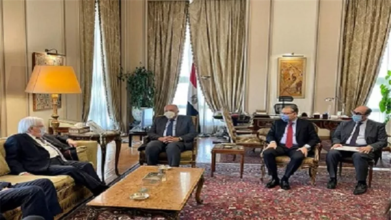 شكرى يبحث مع المبعوث الأممى سبل الحل السياسى لليمن